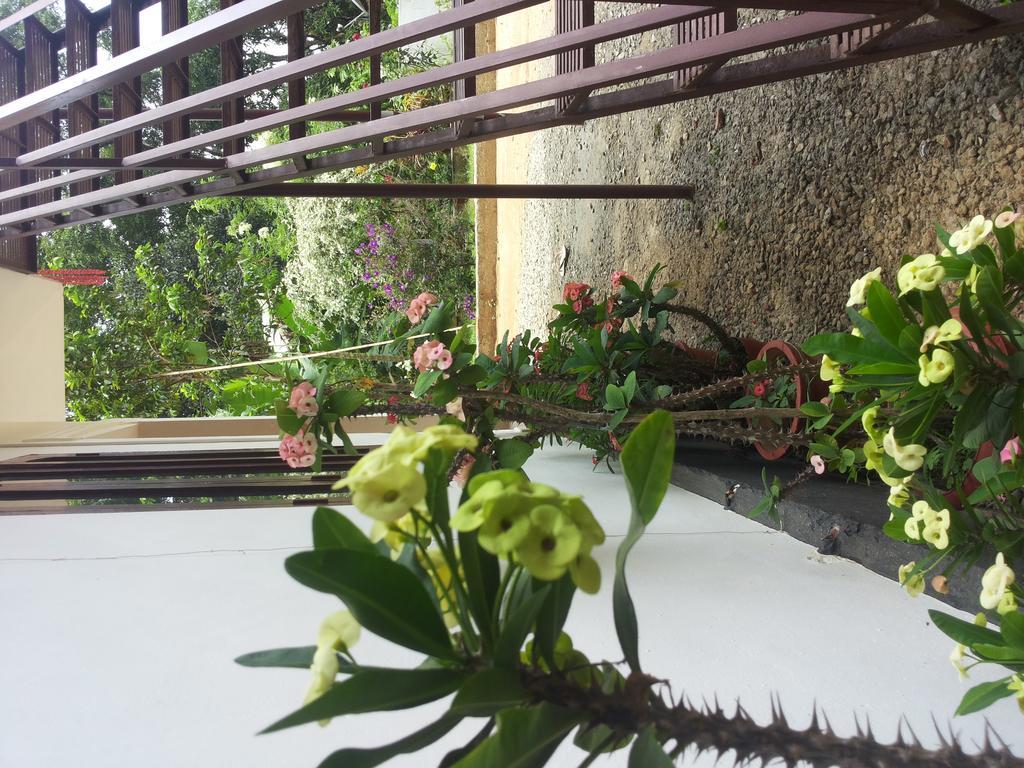 Athens Cottage มุนนาร์ ภายนอก รูปภาพ