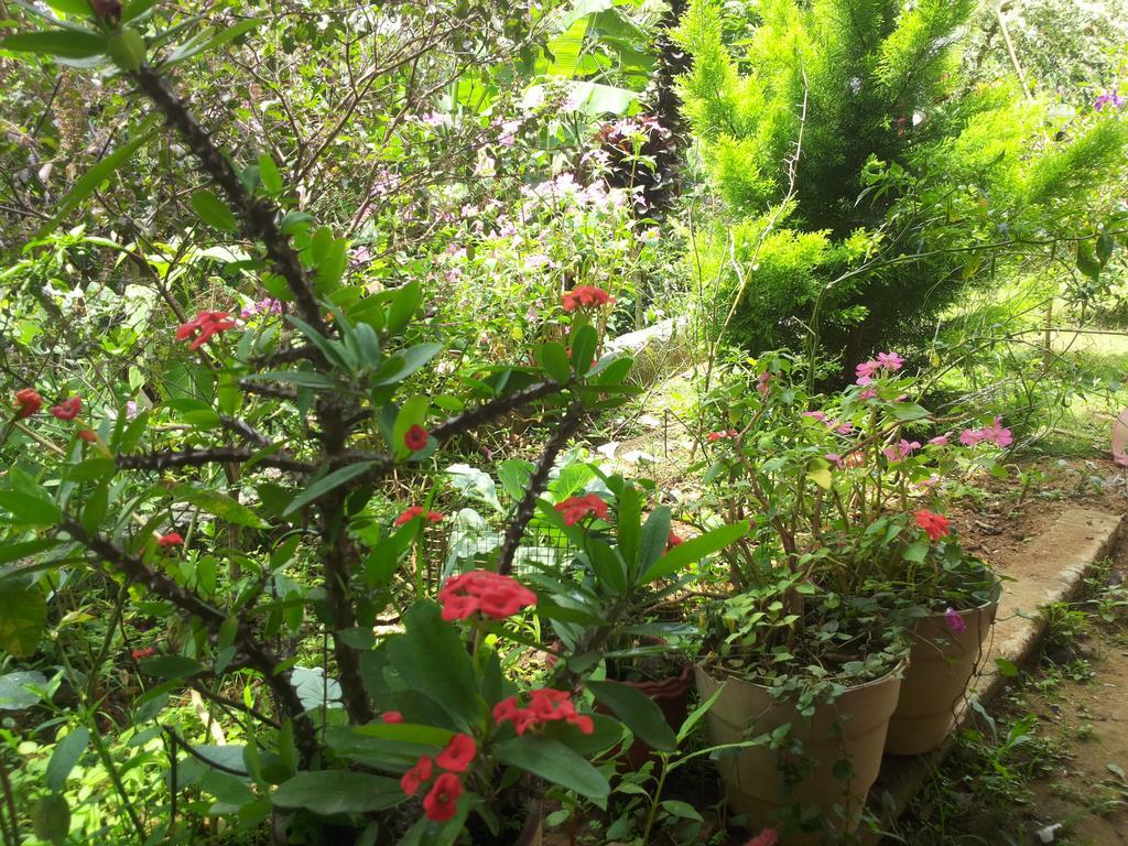Athens Cottage มุนนาร์ ภายนอก รูปภาพ