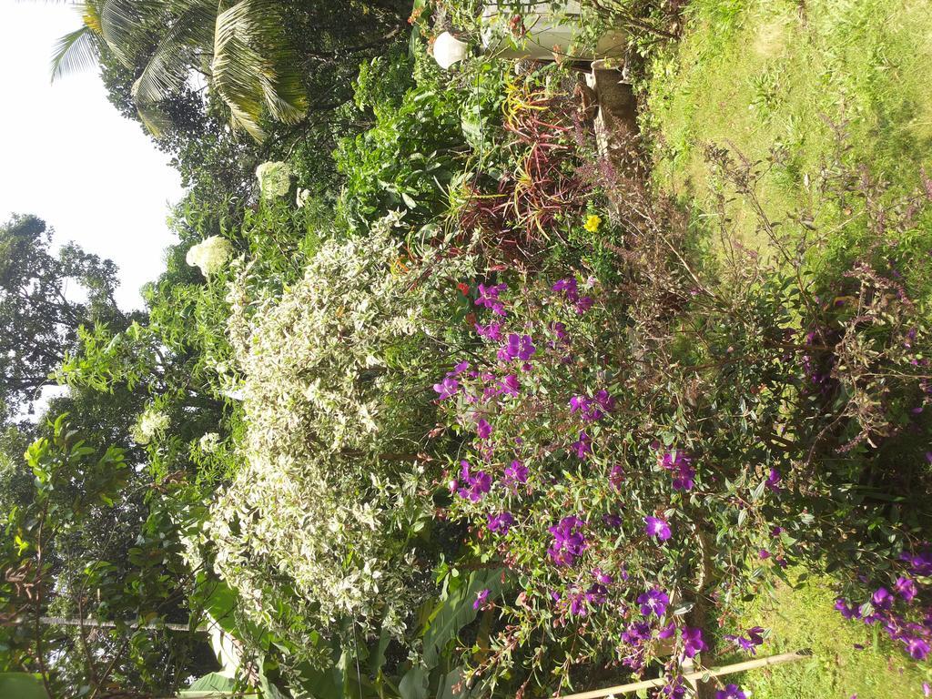 Athens Cottage มุนนาร์ ภายนอก รูปภาพ